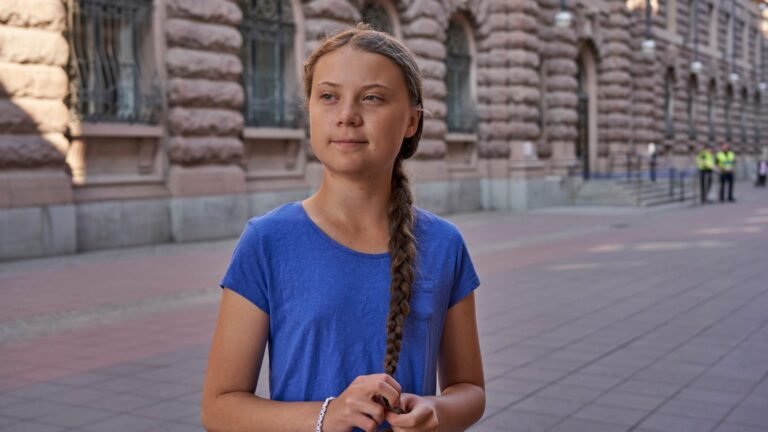 Greta Thunberg Vermögen